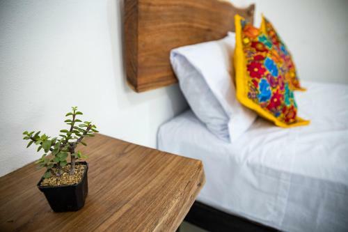 Bacalike Hotel & Temazcal