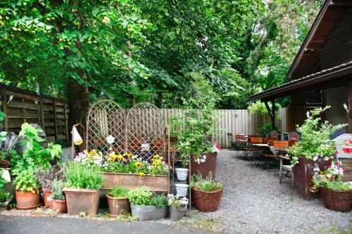 Bed & Breakfast Gasthof Linde