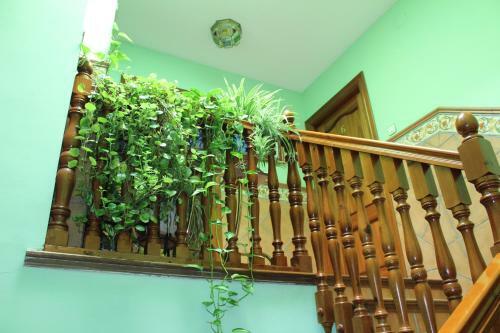 Apartamentos Haza La Moraleda