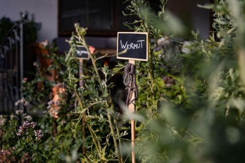 Bed & Breakfast Alpenpension Claudia