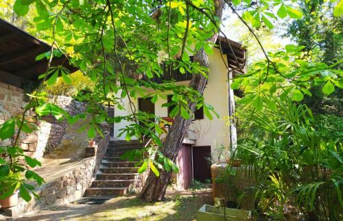 Torre Home - Casa A Bolzano Con Giardino Privato