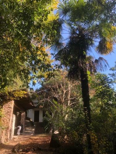 Torre Home - Casa A Bolzano Con Giardino Privato