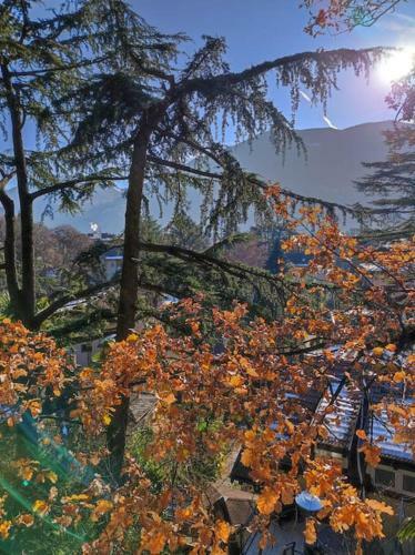 Torre Home - Casa A Bolzano Con Giardino Privato