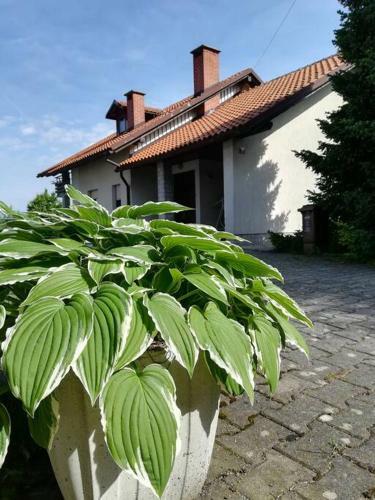 Apartamento Central Garden House Postojna (bright And Cosy!)