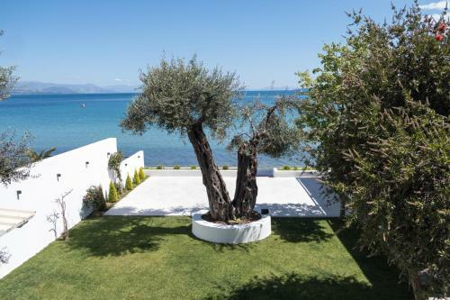 Mare Nostrum Apartments