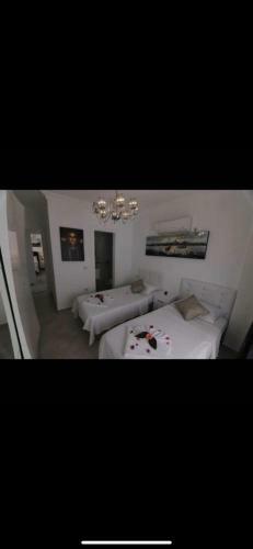 Apartamento Villa Caretta Caretta