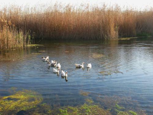 Villa White House Akyaka