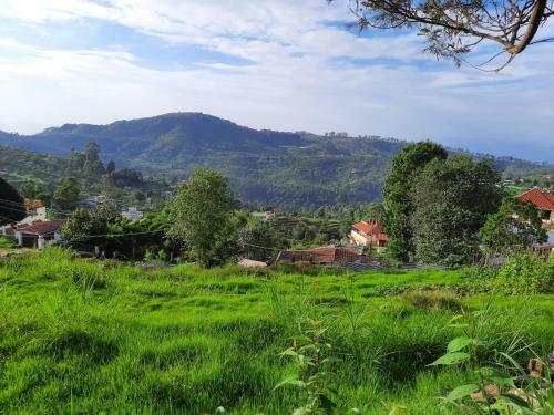 Bed & Breakfast Apsara Home Stay