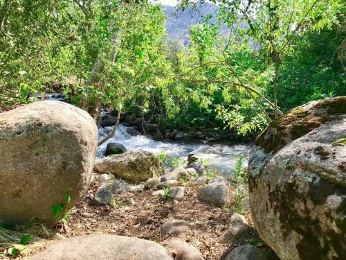 Reyium - A Conscious Riverfront Private Resort