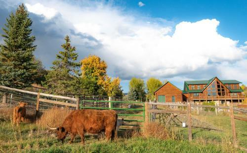 Spacious Luxury Log Home - 25 Min To Skiing, Boating And Trails!