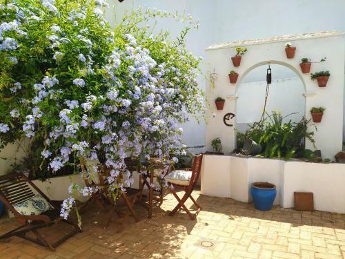 Casas Rurales Do�a Librada