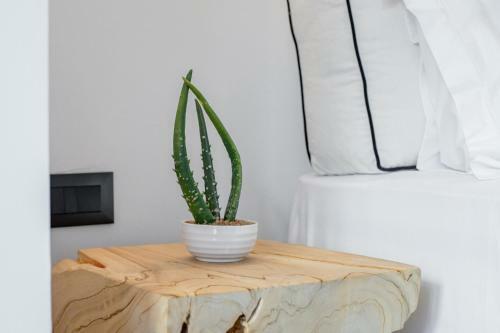 She Mykonos - Luxury Apartments