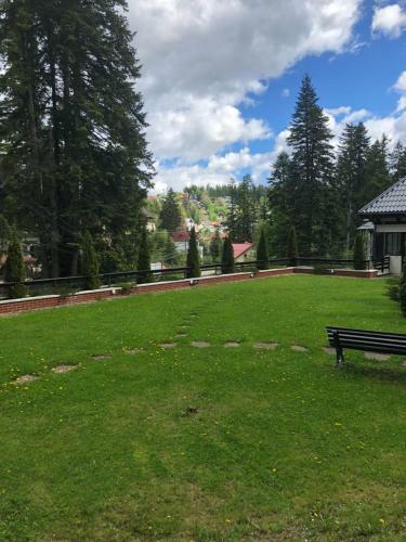 Sinaia Mountain Apartments