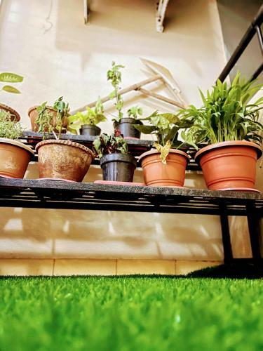 Apartamento Artistic 2bhk In The Downtown Close To Everything