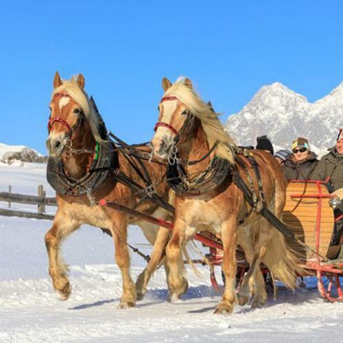 Hostal Pension Fernblick