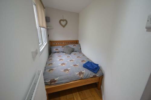 Stunning 2-bed Cabin In Nantglyn Denbigh