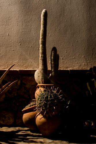 Hostal El Fog�n Del Duende