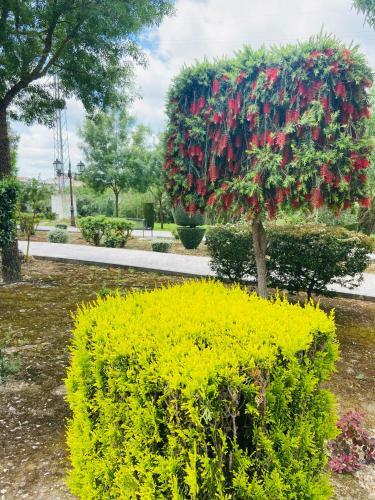 Apartamento Rural La Leyenda