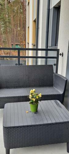 Green Apartment Mi?dzywodzie
