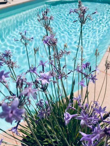 Chambre En Provence Dans Villa Avec Piscine