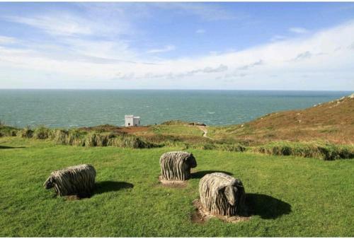 Lligwy House - Charming 3-bed House In Holyhead