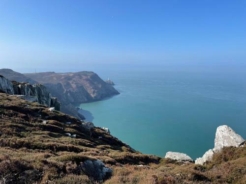Goferydd