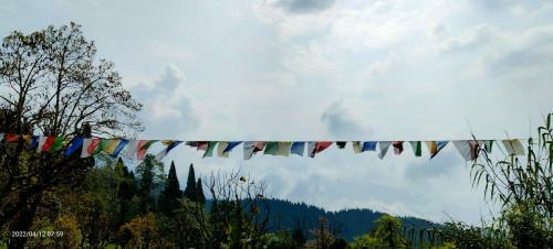 Sherpa Community Homestay