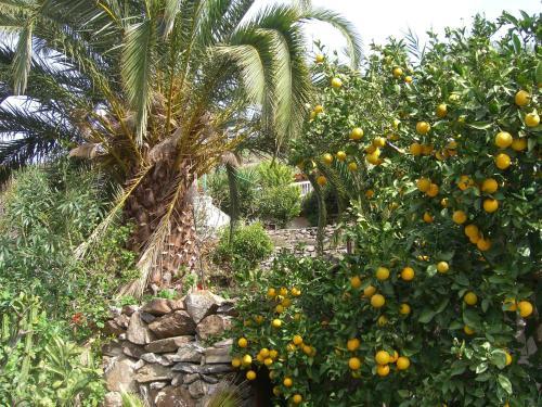 Apartamento Finca Tom�s Y Puri