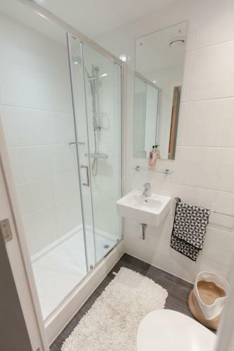Stylish Student Studio Apartments - Collegiate Crown Place Portsmouth