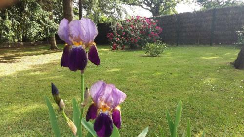 Grande Maison Avec Jardin Arbor�