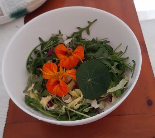 Apartament M&j - Valledoria - La Muddizza