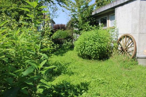 Apartamento Erholung Mit Seesicht, Terrasse Und Garten