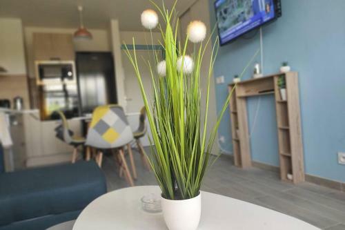 Apartamento Appartement Avec Parking Proche Plages Et Centre