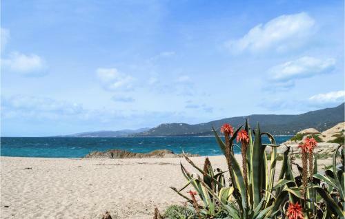 Awesome Apartment In Propriano With 1 Bedrooms