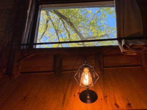 Cabane Suspendue Dans Les Arbres