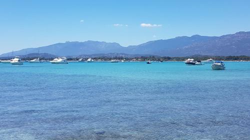 Apartment In Porto Vecchio 6 People With 2 Bathrooms