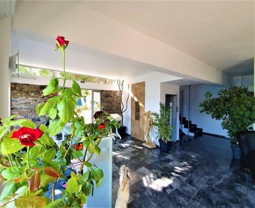 Porto Evia Boutique Hotel