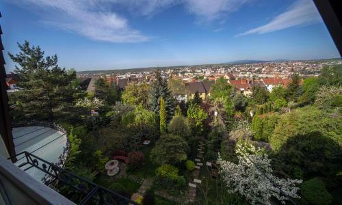 Hostal Panor�ma Panzi�