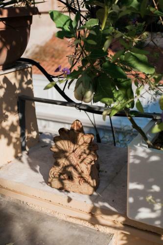 Apartamento Enticing Roof Top Studio In Athens Centre! - Ep9t