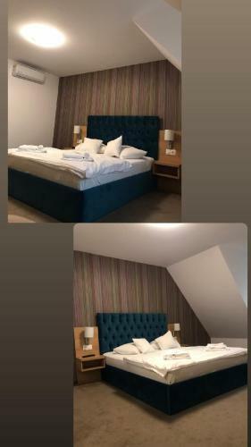 Hotel Pensiune Principesa Margareta