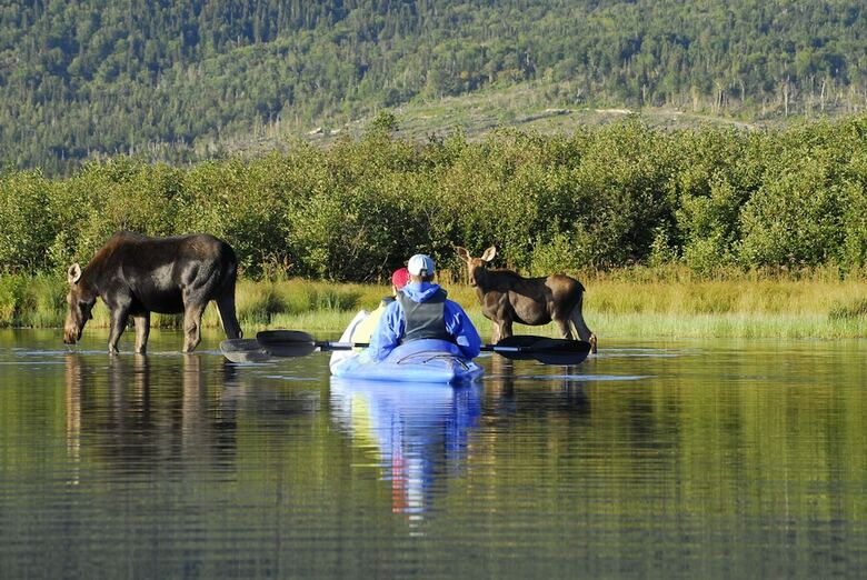 Hotel Quality Inn Matane - Superior