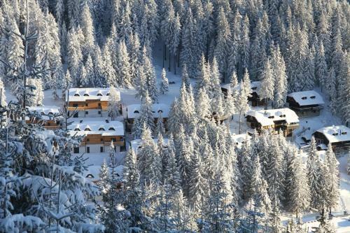 Apartments Montis Golte