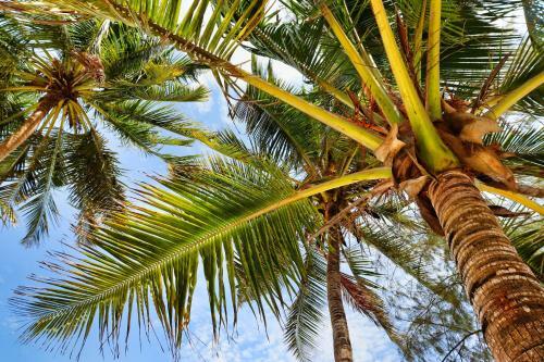 Hotel Searenity Beach Villa