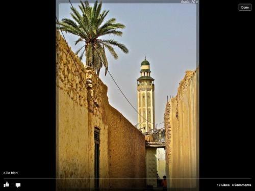 Motel Residence Tozeur Almadina