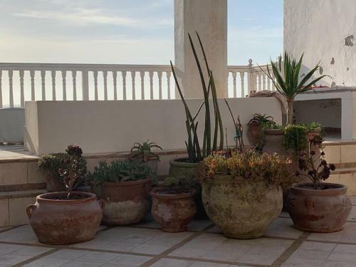 Bed & Breakfast Dar Cherazade