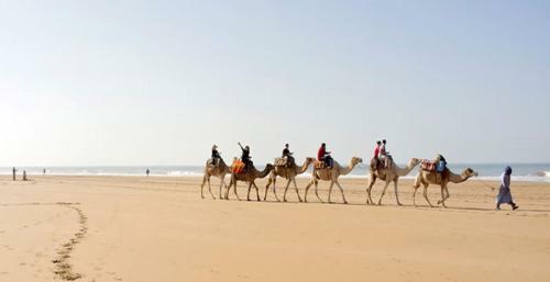 Riad Dar Les Sir�nes