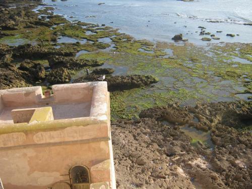 Bed & Breakfast Dar Ayour