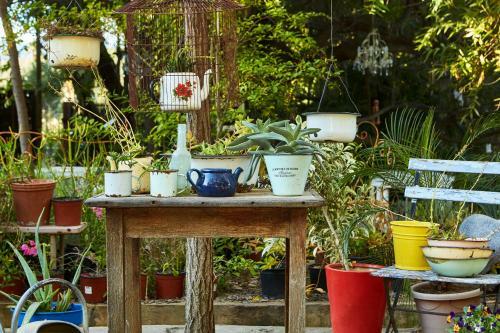 Hostal Yellow Aloe