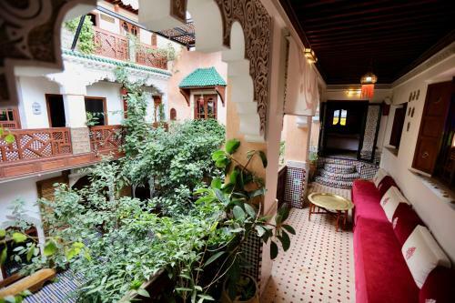 Riad Toyour- Riad Of Birds