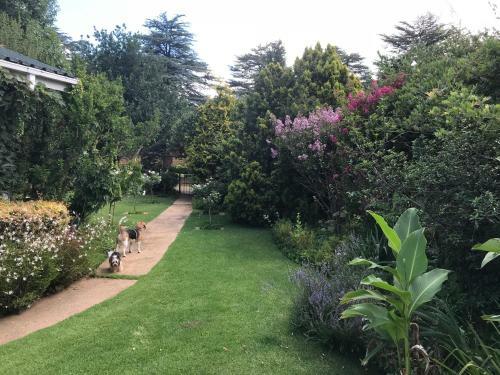 Bed & Breakfast Rosewood Corner, Clarens